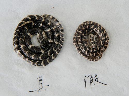 造假最多的十个中药材,名贵中药材造假的有哪些