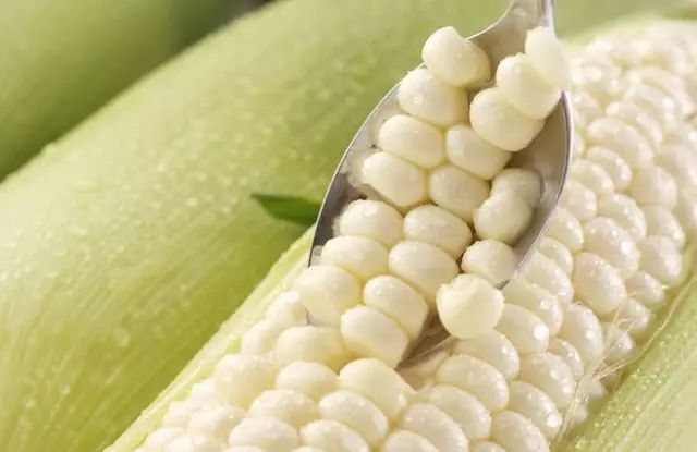 云南爆浆冰糖牛奶玉米,云南爆浆牛奶水果玉米