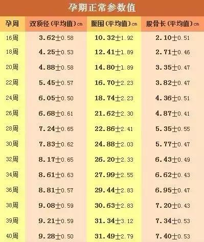 教你读懂产检b超单上英文缩写,如何看懂16周产检b超