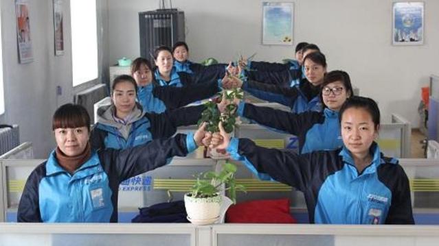 拼多多物流客服投诉有用吗,物流客服处理问题话术模板