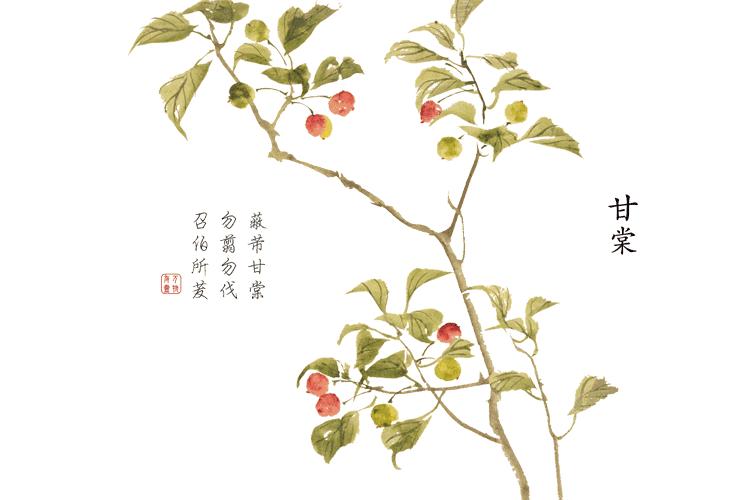 诗经中最唯美的名字,王姓女孩诗经中最唯美的名字