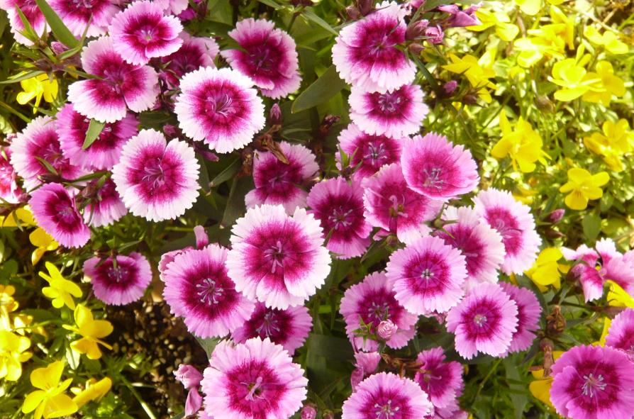 当你的人生陷入绝望,当你的人生遇到困境的时候