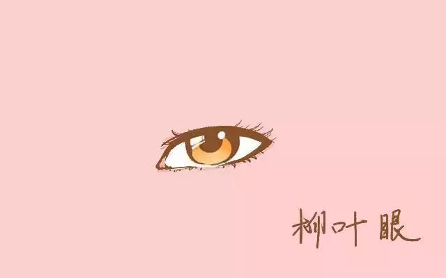 四种最好看的眼型你属于哪一种,最迷人的六种眼型图