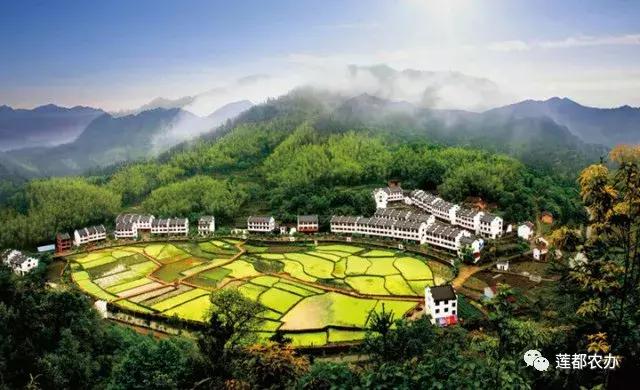 十年如一日，他们是最可爱的“扶贫人”——区农办扶贫开发科专访