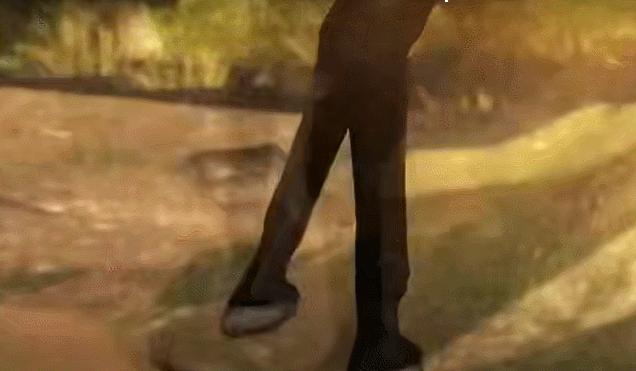 量子计算机到底有多强大,量子计算机的可怕之处