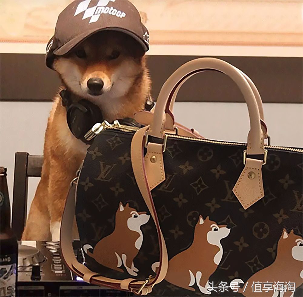 奢侈大牌狗年限定款,时尚大牌2022年春季限定款