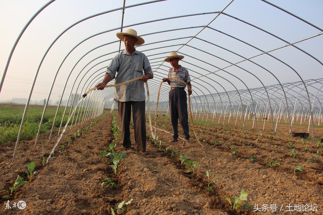 国家鼓励农民创业政策有哪些,国家扶持的农村创业项目和政策