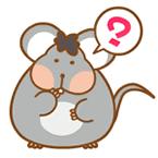 签下半亿大单！香港人买下1000吨肇庆这种食物！