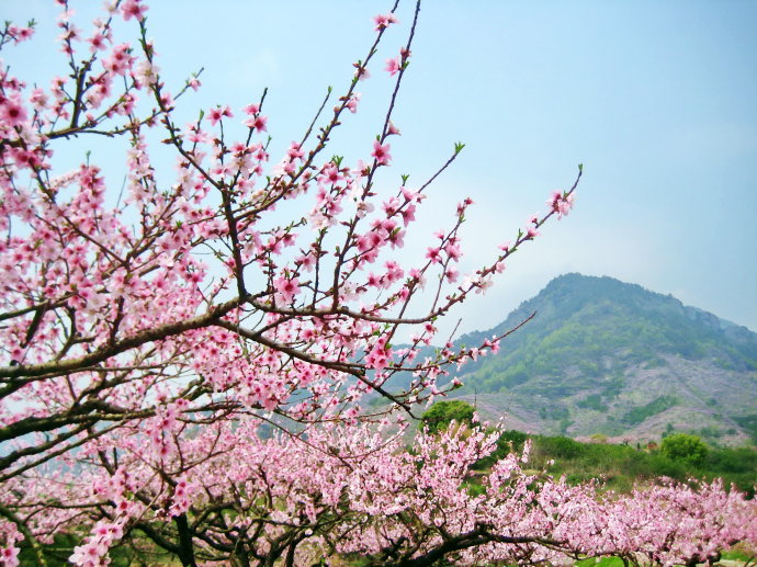 2018年浙江地方景点旅游日历大合集！含杭州，建德，温州，金华！