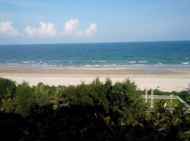 江门小鸟的天堂旅游攻略,江门小鸟天堂附近免费游玩的地方