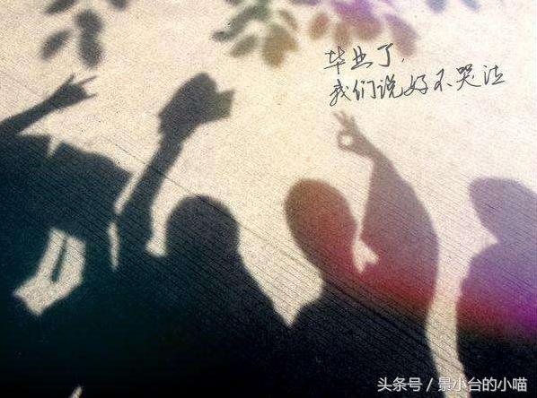 经典言情小说推荐双强,言情小说推荐古言清穿