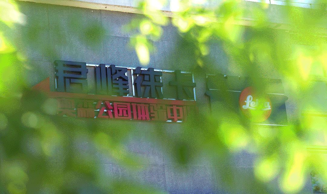 leicacl评测,leicacl