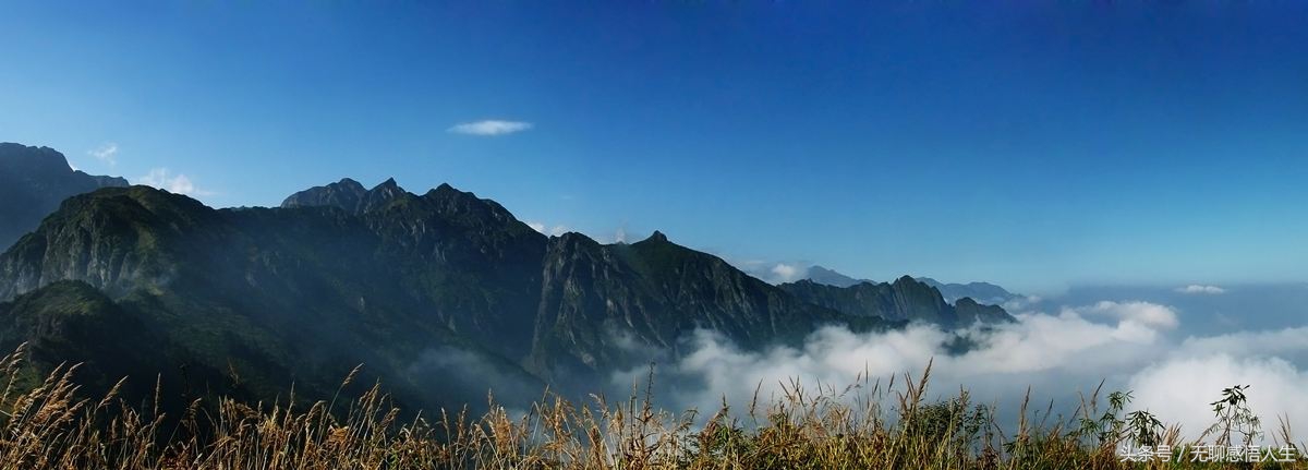 四川省德阳市什邡中学,四川省德阳市什邡市鲜花店