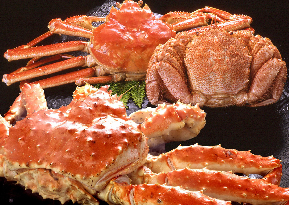 日本北海道好吃的零食品牌,北海道十大必买美食