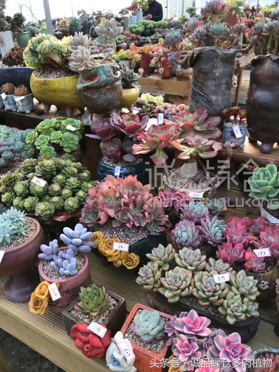 满足你对的所有幻想,满足你对生活所有的想象