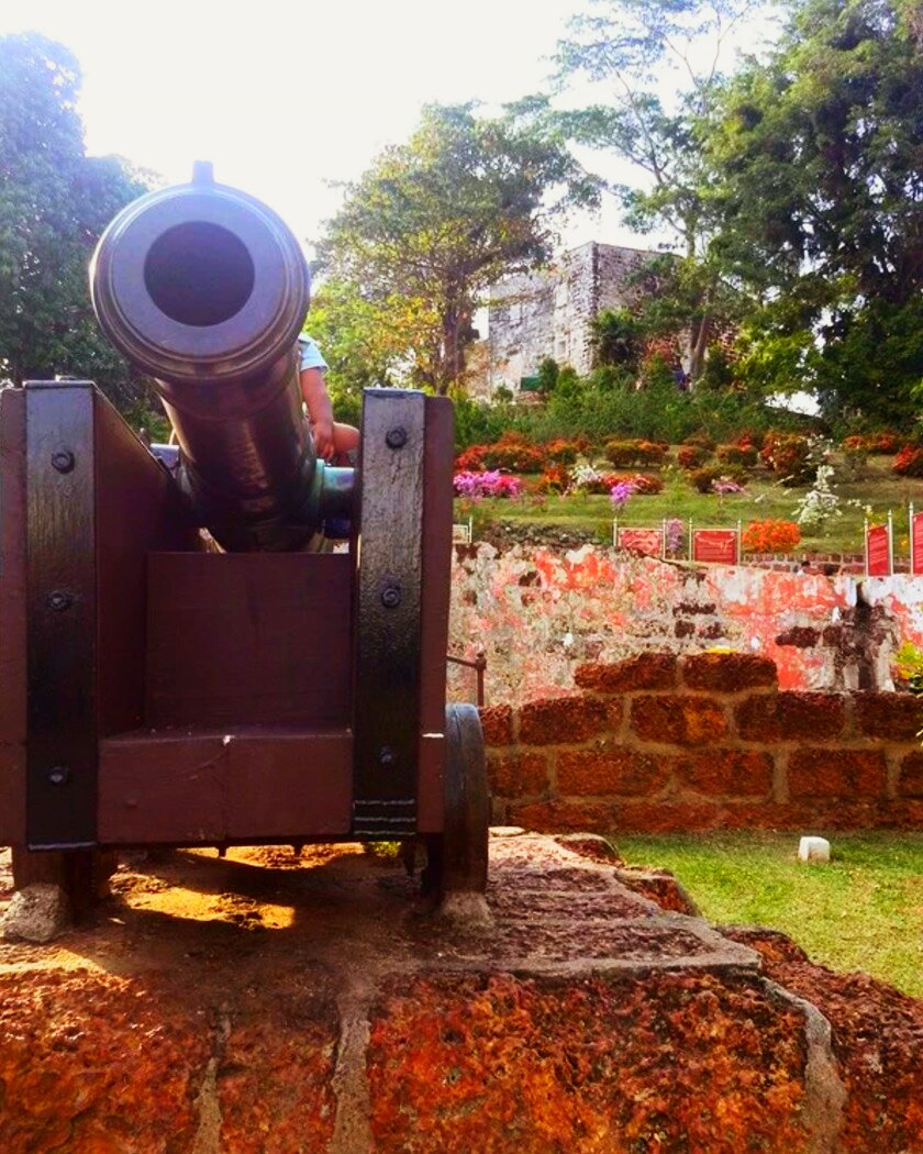 白本护照如何走遍全世界,护照白本推荐国家