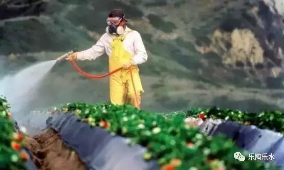 只有绿叶菜容易农药残留？你太天真了！