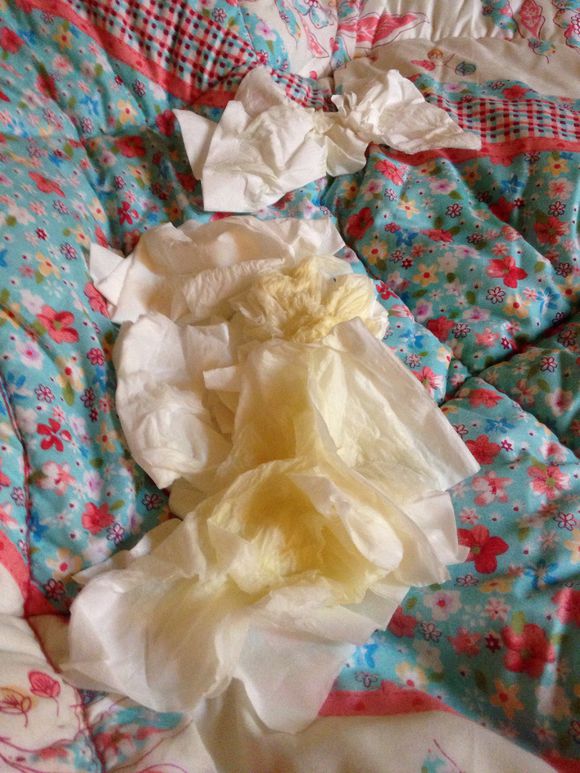 去宠物市场挑一只英短蓝猫,英短蓝猫在宠物店多少钱