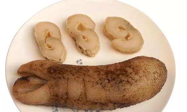 带您了解世界海参,你知道全球有多少种鲨鱼吗