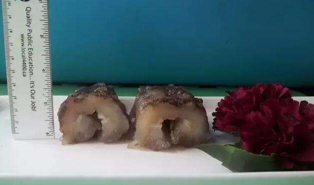 你知道世界上的鱼类有多少个,你知道的海底世界有多少种鱼