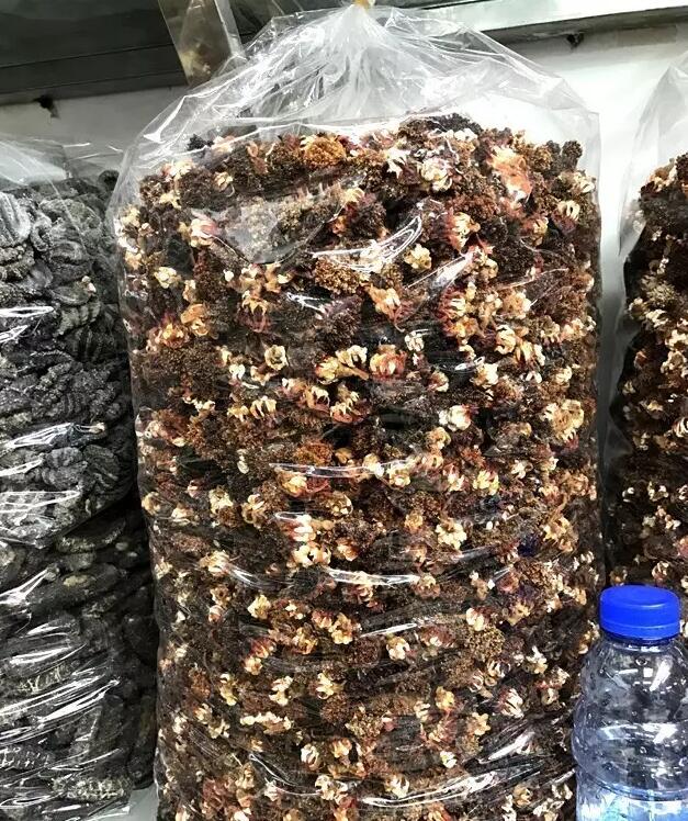 你知道世界上的鱼类有多少个,你知道的海底世界有多少种鱼