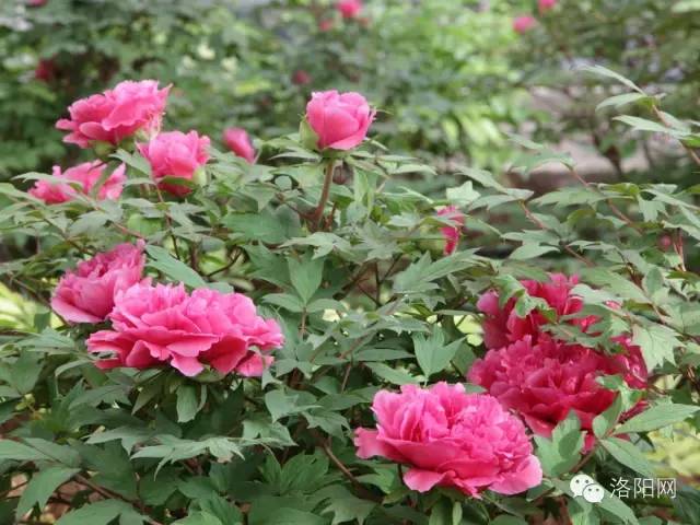 经历着狂风暴雨,经历了狂风暴雨就没法忍受
