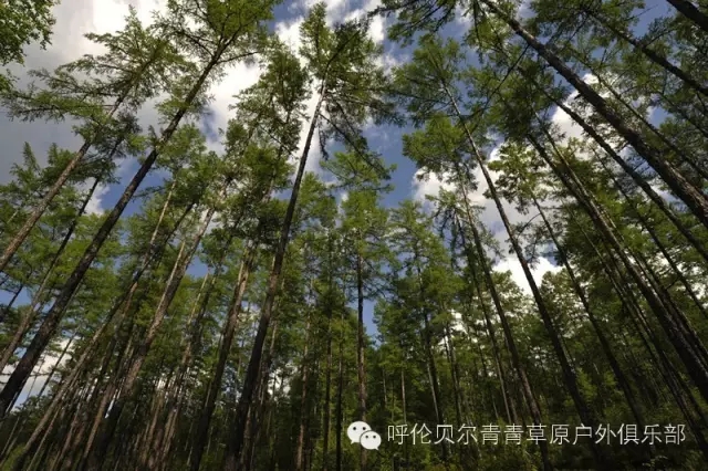 呼伦贝尔自由行攻略,呼伦贝尔自由行