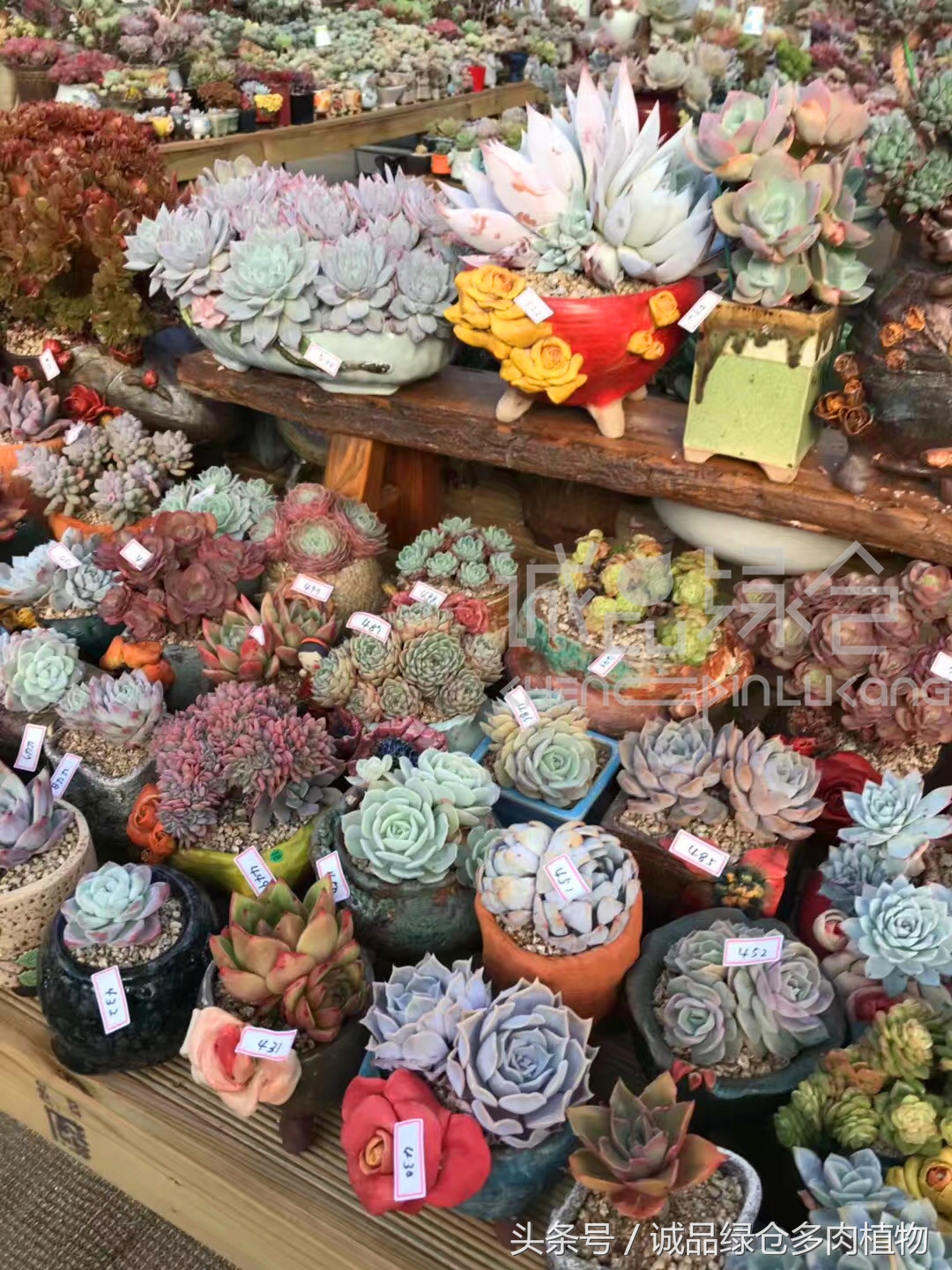 满足你对的所有幻想,满足你对生活所有的想象