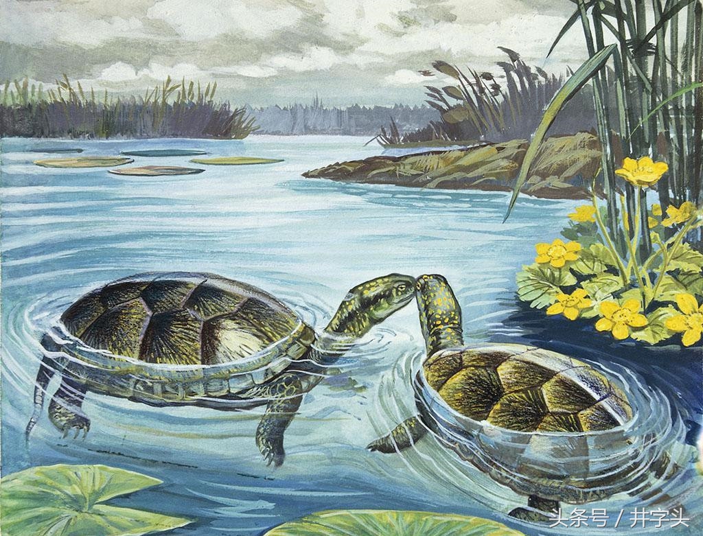 道家养生气功六字诀,养生气功导引十二法