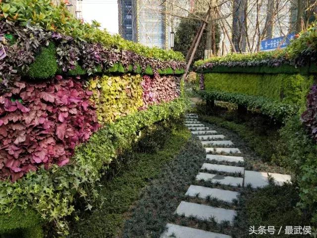 智能足球场地,超智能足球场