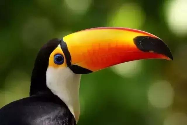 前任3美娜多,带着前任看前任3为什么都复合了