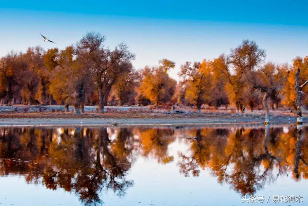 凉州词王之涣台词,王之涣凉州词简介