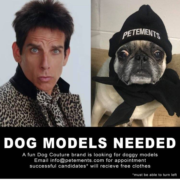 哪些“年鞋”会被FLOP掉？