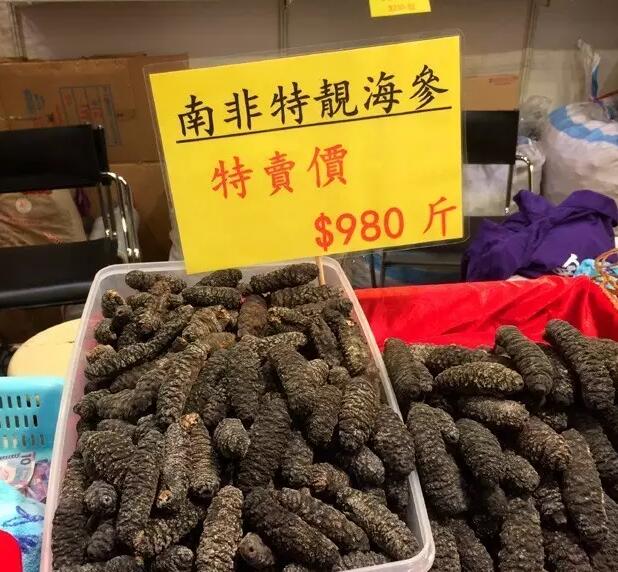 海参也有很多种,全世界所有可以吃的海参