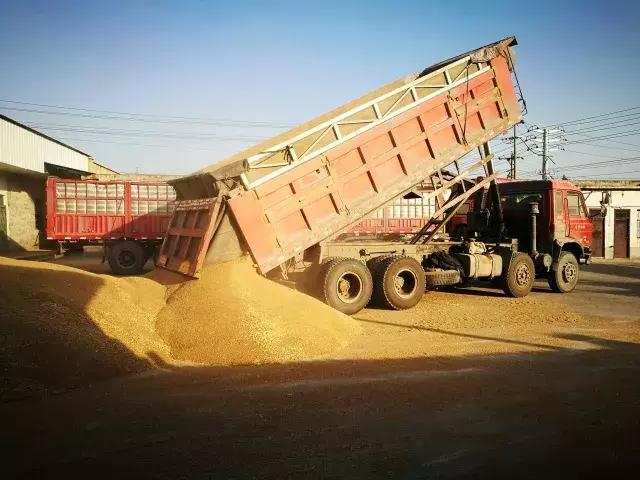 组图｜这样的执行现场你见过吗？