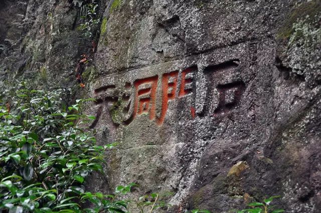 心动!浙江省内有座“欧洲小城”,一天即可来回!