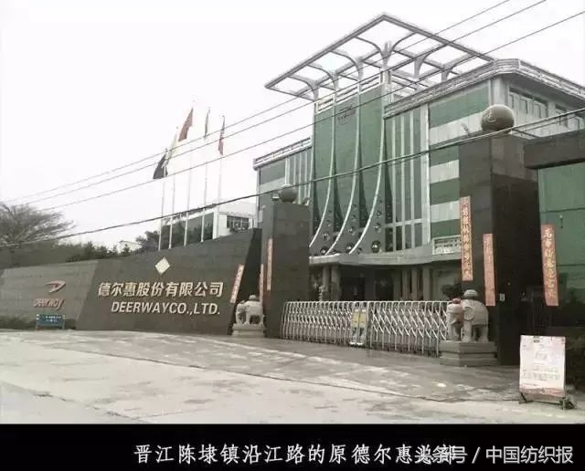 德尔惠是怎么没落的,德尔惠发展史