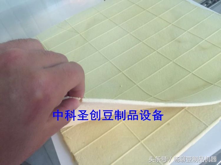 全自动干豆腐机正确使用方法,豆腐干机功能