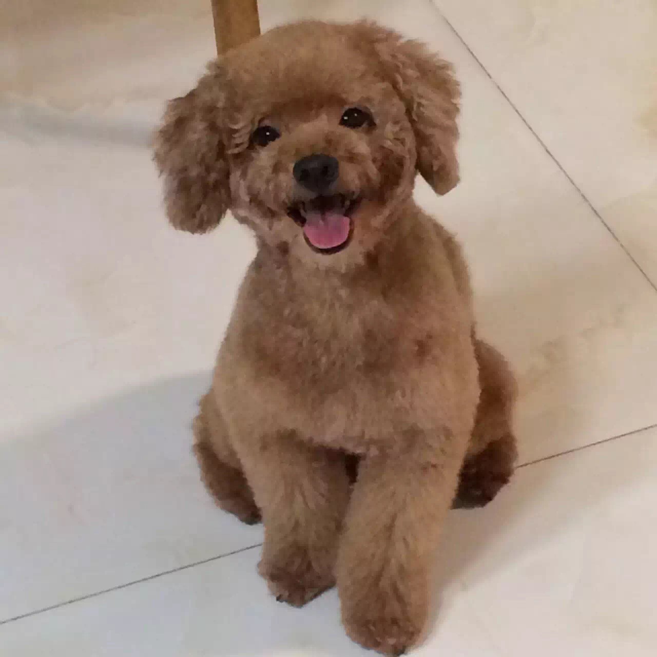 号外！第六期百人百天班委强势亮相