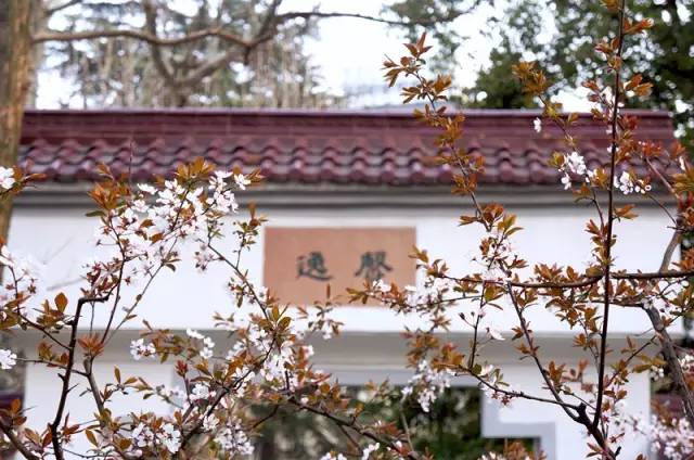 魔都最值得逛的76条马路,你都逛过了吗?