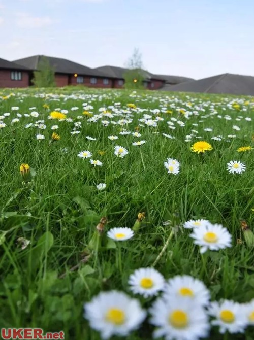 真是够了!扒一扒高大上如华威大学背后的逗比属性