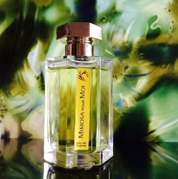 小七的生活记完整版,小七的生活日记618