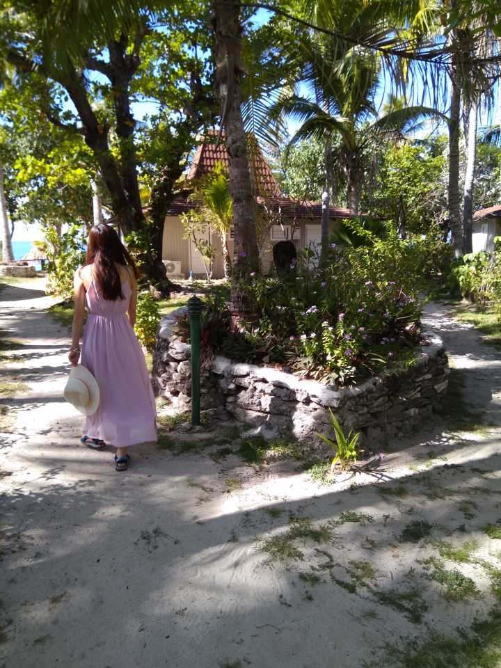 汤加和斐济哪个国家大,斐济国家主产什么