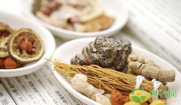 种植中药材什么最赚钱,种植什么中药材最赚钱