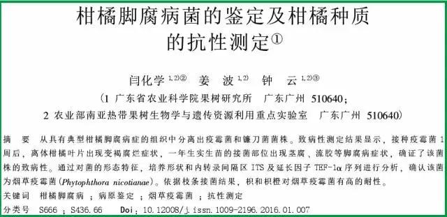 柑橘常见病害及防治方法,铜氨合剂能防治柑橘病害么