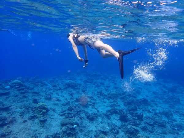 汤加和斐济哪个国家大,斐济国家主产什么