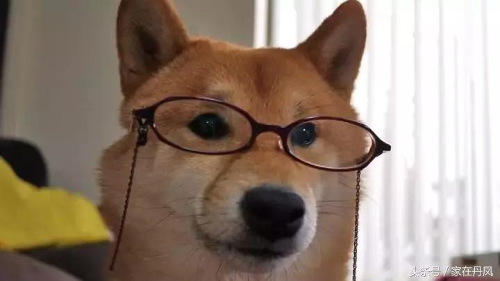 昨天晚上,大家都在广场抬头看一块屏幕!