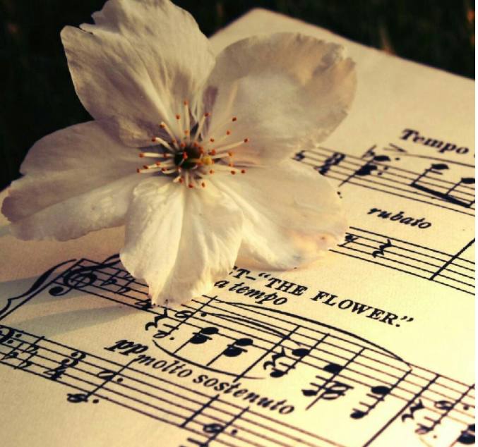 最近比较火的略带慵懒的英文歌曲,有没有最近最好听的英文歌