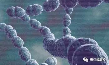 猩红热要注意什么,猩红热一般是怎么得的