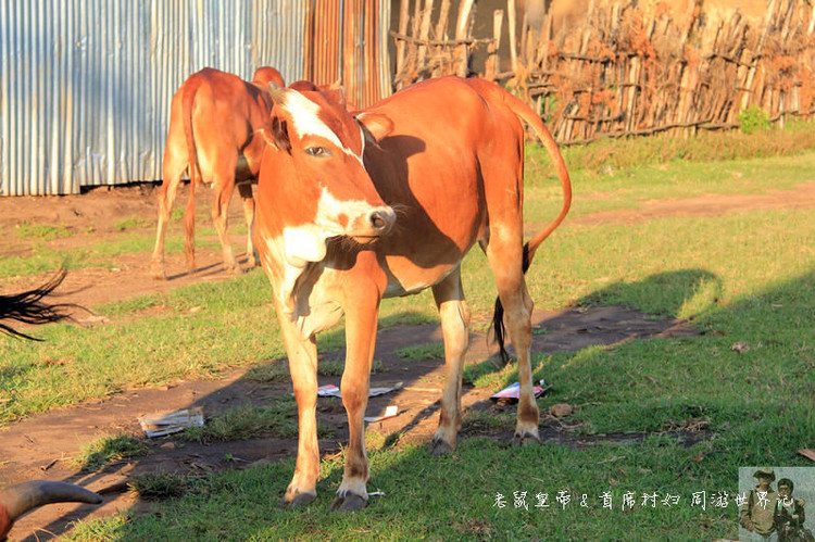 这个市场有意思：理发8元，上网一小时35元，卖花生米用瓶盖